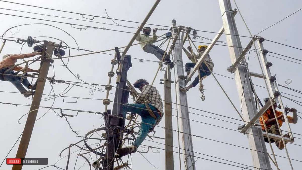 हरियाणा में बिजली के निजीकरण पर लगा ब्रेक, HERC ने पैरलल लाइसेंस मामले में कार्यवाही रोकी
