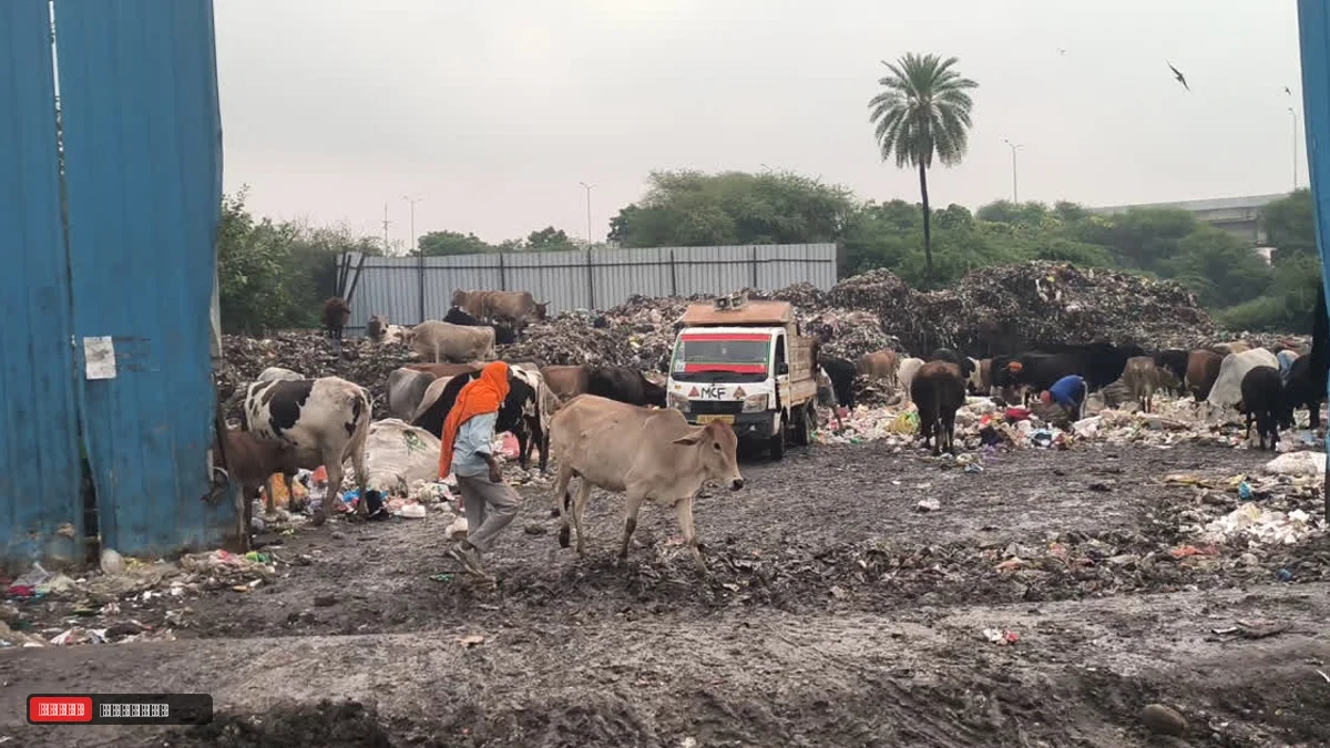 फरीदाबाद के डंपिंग स्टेशनों में डाला जा रहा दिल्ली का कचरा! केंद्रीय मंत्री ने दिए सख्त कार्रवाई के आदेश