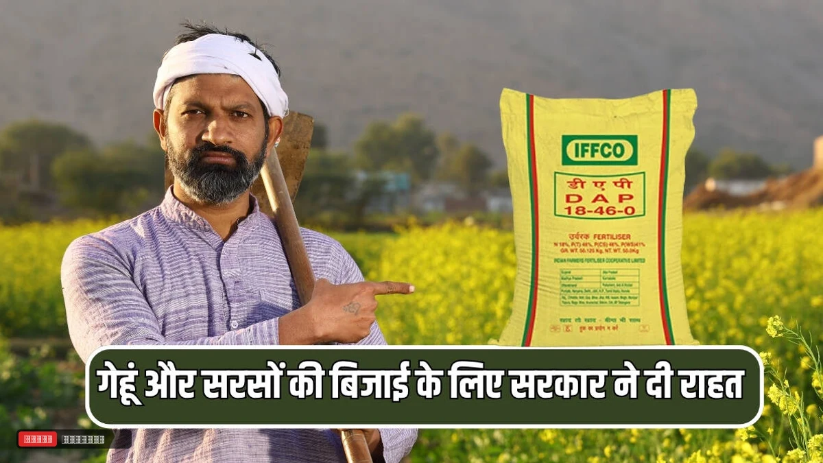 हरियाणा में किसानों की बल्ले बल्ले! गेहूं और सरसों की बिजाई के लिए सरकार ने दी राहत