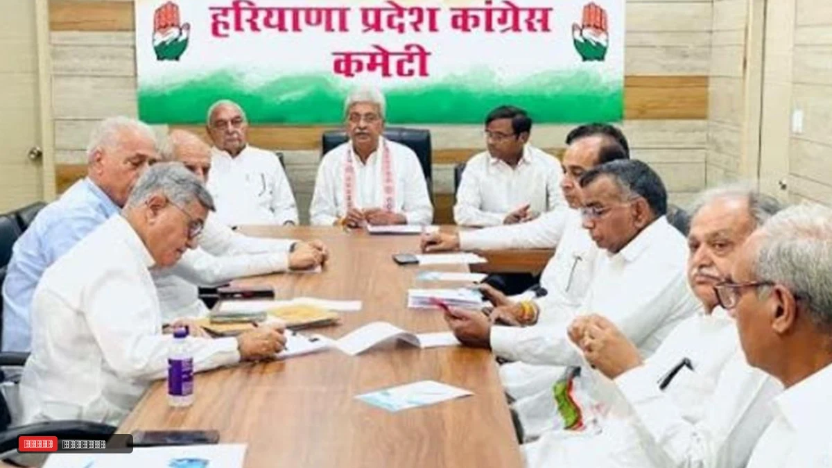दिल्ली की 'वोट बचाओ' रैली के लिए हरियाणा कांग्रेस ने कसी कमर, अशोक तंवर और निशान सिंह को जिलों की कमान