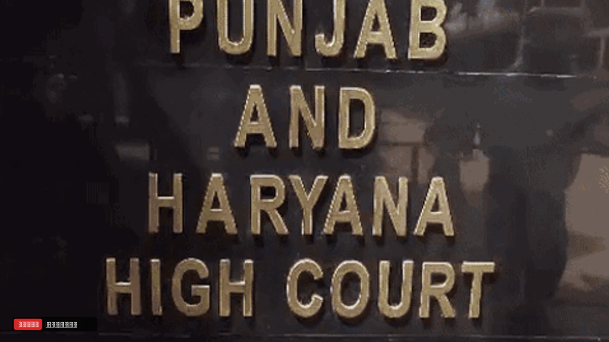 हरियाणा में शिक्षकों के ACP में देरी पर हाईकोर्ट सख्त:  कहा- अधिकारी के वेतन से वसूला जाएगा हर्जाना: देरी पर ठोस कारण बताना होगा - Panchkula News
