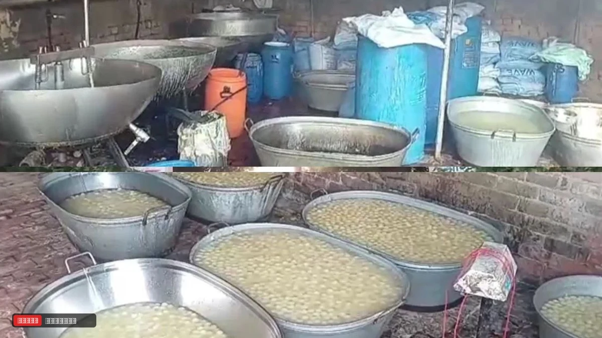 दिवाली से पहले सोनीपत की फैक्ट्री में मिले 500 किलो रसगुल्ले-छेना, गंदगी देख विभाग ने जमीन में दबाए