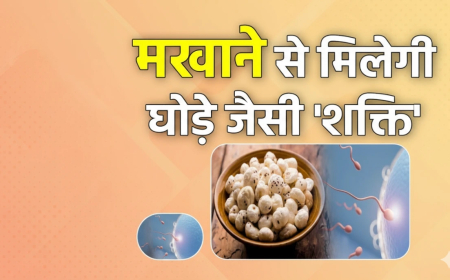 Makhana Benefits: खाली पेट रोज़ाना मखाने खाने के 5 जबरदस्त फायदे, मोटापा और हाई ब्लड प्रेशर होगा नियंत्रित