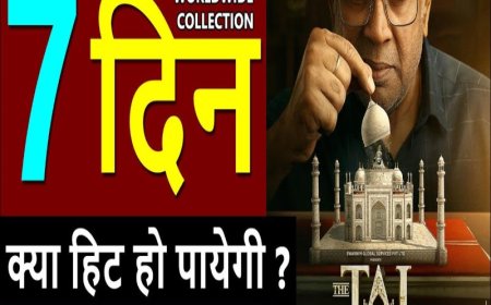 ताज स्टोरी की कमाई: 7वें दिन का कलेक्शन जान चौंक जाएंगे फैंस! क्या बजट निकालना भी मुश्किल?