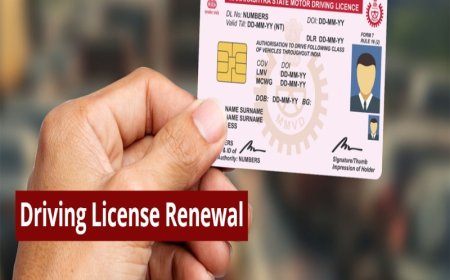 Driving License Expire हो गया? घर बैठे Online Renew कैसे करें, जानें 2025 का पूरा प्रोसेस