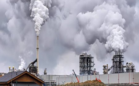 Clean Air Project: हरियाणा में प्रदूषण खत्म करने का 3600 करोड़ का प्लान, जानें वर्ल्ड बैंक क्यों दे रहा है पैसा