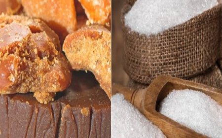 Jaggery vs Sugar: क्या गुड़ चीनी से बेहतर है? जानें सर्दियों में खाने के 10 बड़े फायदे और सही तरीका