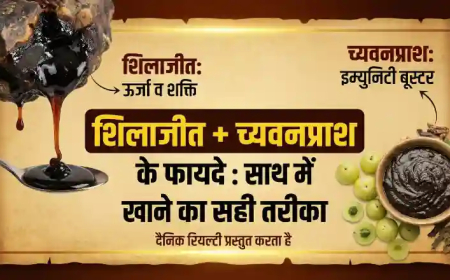 Shilajit with Chyawanprash Benefits: क्या शिलाजीत और च्यवनप्राश साथ खा सकते हैं? जानें फायदे और सही तरीका