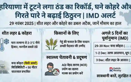 Haryana Weather Update: हरियाणा में टूटने लगा ठंड का रिकॉर्ड, घने कोहरे और गिरते पारे ने बढ़ाई ठिठुरन, जानें IMD का अलर्ट