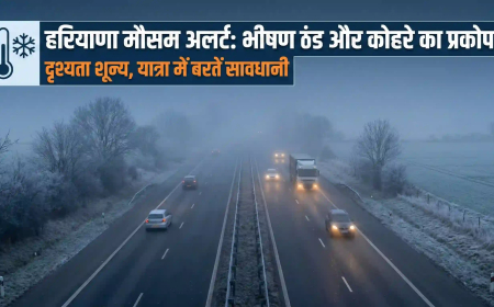Haryana Weather: 5 दिसंबर से बदलेगा मौसम, IMD ने जारी किया Cold Wave और धुंध का अलर्ट
