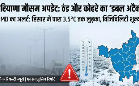 Haryana Weather Update: कड़ाके की ठंड और कोहरे का 'डबल अटैक', IMD का नया अलर्ट