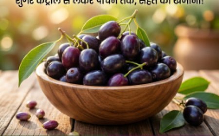Jamun Benefits: जामुन खाने के 5 जबरदस्त फायदे, शुगर कंट्रोल से लेकर पाचन तक असरदार